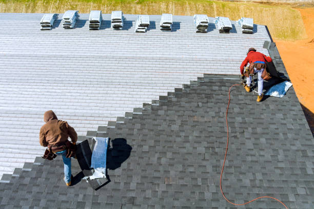 Best Roof Repair Services  in Skagway, AK